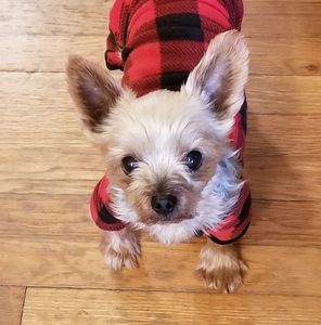 Meet your Posher, Terri